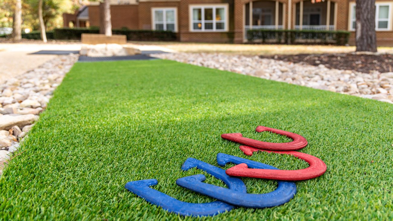 Horseshoes